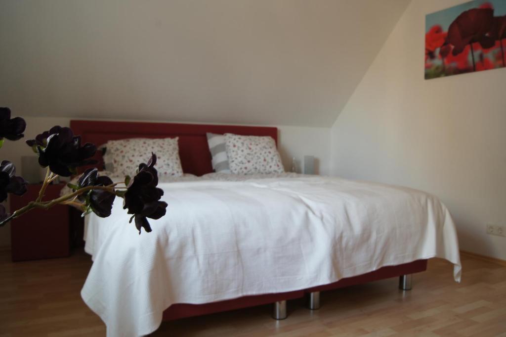ורדן Bed And Breakfast Ammeloe מראה חיצוני תמונה